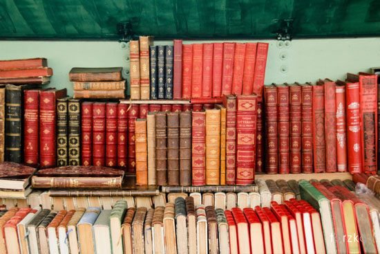 Paris en livres